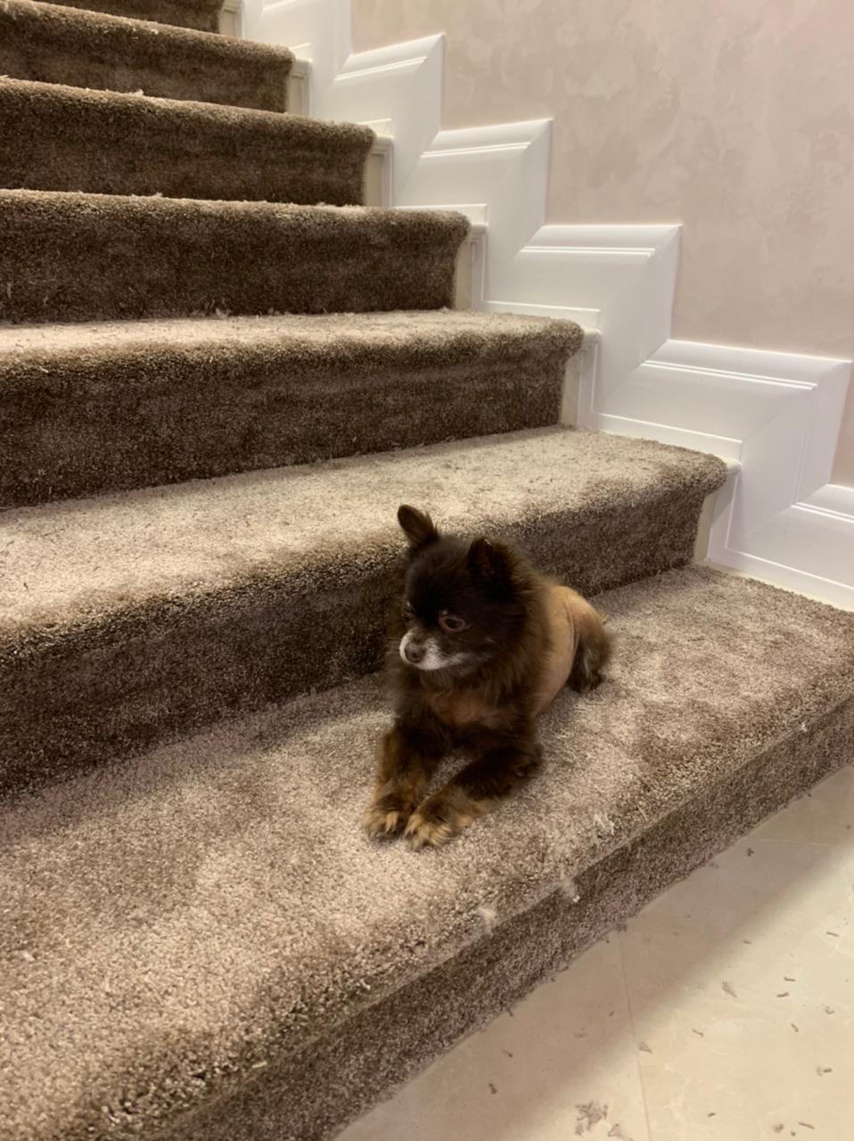 Загородный дом 6